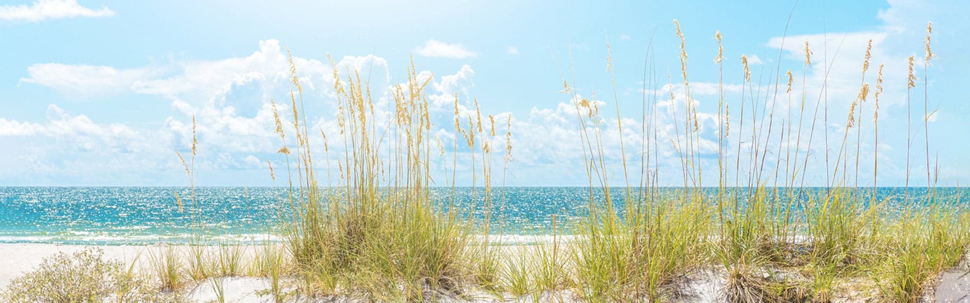 Coastal Vibe Vacations beachfront homes